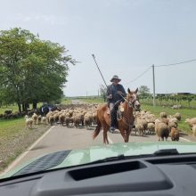 Keliautojai Sutkai: vidinius turtus susikrovėme iš žmonių gerumo