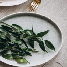 Ar lapai gali pakeisti maisto produktus?