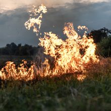 Žolės deginimas – rizika ne tik gauti baudą, bet ir pavojus gyvybei