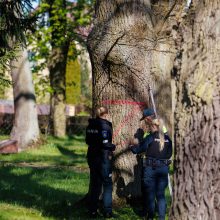 Provokacija Kauno kapinėse: ant medžių – draudžiami naudoti simboliai