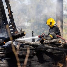 Smarkiai padaugėjo žalų sodybose: įvardijo, kas padarė daugiausiai nuostolių