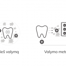 Jo­ni­niai dan­tų še­pe­tė­liai – dan­tų prie­žiū­ros re­vo­liu­ci­ja?