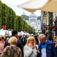 Derliaus šventėje – ir skrudintos sraigės, ir meilūs triušiai