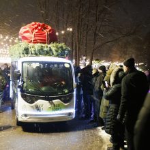 Jonavoje suspindo ne tik Kalėdų eglė – nušvito ir pasakiškas eglučių miestelis