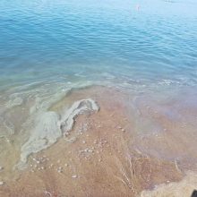 Klaipėdos uoste – naftos produktų dėmė: maudytis jūroje nepatariama