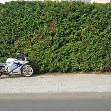 Žaliakalnyje susidūrė automobilis ir motociklas