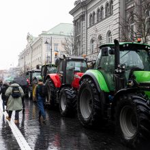 Premjerė: nėra iki galo teisinga sakyti, kad ūkininkų niekas negirdi