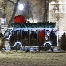 Jonavoje suspindo ne tik Kalėdų eglė – nušvito ir pasakiškas eglučių miestelis