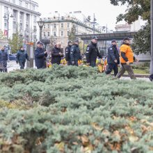 Pareigūnai protestuoja prieš naująjį Statutą: ant šieno krūvos uždėta vyšnia nėra tortas