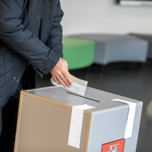 Seimo rinkimams ketinama kurti naują apygardą Vilniuje, naikinti Molėtų-Širvintų apygardą