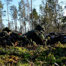 Lietuvos šaulių sąjungos vadas: gynybos visuotinumas įgalina visą tautą priešintis agresoriui