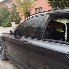 Klaipėdoje liepsnojo prabangus BMW: įtariamas padegimas