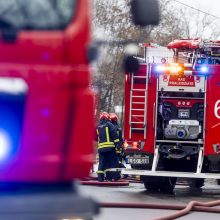 Greitkelyje liepsnojo sunkvežimis su automobiliais pakrauta priekaba