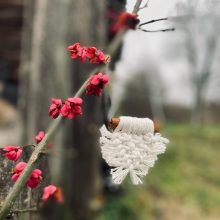 Mazgų pynimuose – ir svajonės, ir meilė, ir kantrybė