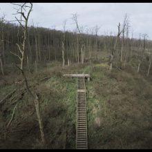 R. Barzdžiukaitės filmui „Rūgštus miškas“ – dar vienas įvertinimas