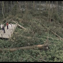 R. Barzdžiukaitės filmui „Rūgštus miškas“ – dar vienas įvertinimas