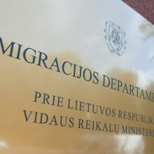 Viceministras: rusų pilotas yra Lietuvoje, jo prieglobsčio prašymas neregistruotas