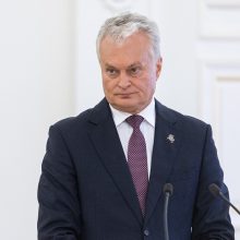 Premjerė apie ginčus dėl ambasadoriaus Lenkijoje: problema – sulaukti bet kokios prezidento nuomonės