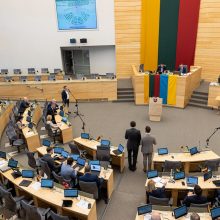 Seime vyks aštuntasis Vilniaus saugumo forumas