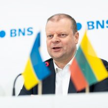 S. Skvernelis: rinkimų rezultatai – geri, bet galėjo būti ir geresni
