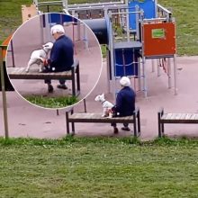 Galimos zoofilijos istorijoje – lemiamas posūkis: pareigūnai pasikalbėjo su šuns savininke