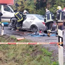 Klaipėdos rajone BMW rėžėsi į autokraną: sužeisti trys žmonės <span style=color:red;>(papildyta)</span>