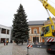 Skelbiama Klaipėdos Kalėdų eglutės paieška