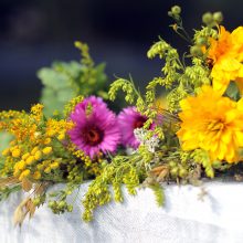 Žolinės aidai Rumšiškėse: ir linksma, ir prasminga