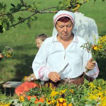 Žolinės aidai Rumšiškėse: ir linksma, ir prasminga