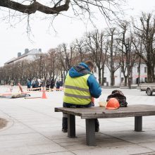 Naujos liepos Laisvės alėjoje jau atrado savo vietą