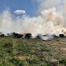 Ugniagesiai gesino degančius šieno rulonus: karštą dieną – karšti darbai