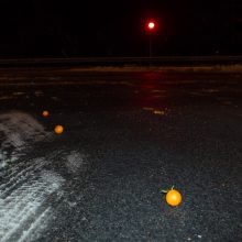 Kauniečiai netveria džiaugsmu: ant kelio pabiro mandarinai