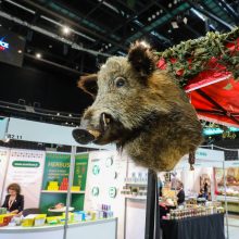 Vienuoliktą kartą siūloma rinktis prekę lietuvišką