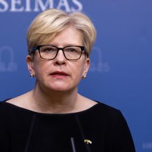 Seime premjerė pristatė praėjusių metų Vyriausybės veiklos ataskaitą