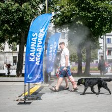 Po žiemos Kaune atgyja geriamojo vandens fontanėliai