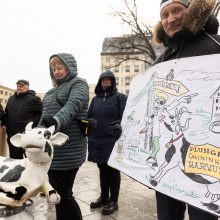 Pieno supirkimo kainomis nepatenkinti ūkininkai Vyriausybei grasina masiniais protestais