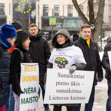 Pieno supirkimo kainomis nepatenkinti ūkininkai Vyriausybei grasina masiniais protestais
