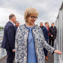 V. Čmilytė-Nielsen: S. Lengvinienės pasitraukimas iš Laisvės frakcijos rodo įtampą joje