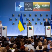 K. Budrys: Ukraina turi daug daugiau garantijų nei turėjo iki NATO susitikimo