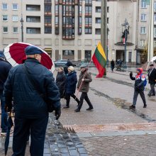 Dėl NT mokesčio protestavo daugiau tautiečių nei leista: žmonės nebuvo ramūs