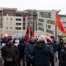 Tūkstantinis mitingas dėl NT mokesčio: uždaromas vienas iš Seimo įėjimų