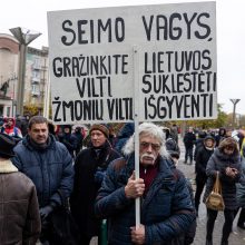 Tūkstantinis mitingas dėl NT mokesčio: uždaromas vienas iš Seimo įėjimų