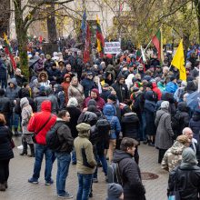 Dėl NT mokesčio protestavo daugiau tautiečių nei leista: žmonės nebuvo ramūs