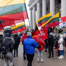 Dėl NT mokesčio protestavo daugiau tautiečių nei leista: žmonės nebuvo ramūs