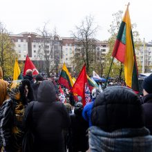 Dėl NT mokesčio protestavo daugiau tautiečių nei leista: žmonės nebuvo ramūs