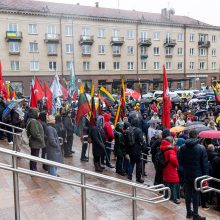 Dėl NT mokesčio protestavo daugiau tautiečių nei leista: žmonės nebuvo ramūs