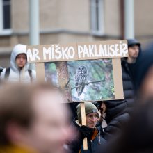 Prie Seimo – mitingas prieš miškų naikinimą: „Dievas sunaikins niokojančius žemę“