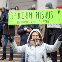 Prie Seimo – mitingas prieš miškų naikinimą: „Dievas sunaikins niokojančius žemę“