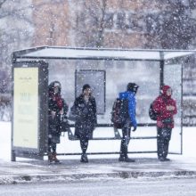 Netikėta: Vilniaus apylinkėse sniegą palydėjo perkūnija