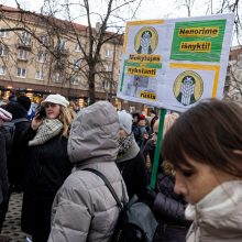 G. Nausėda stoja streiką atnaujinusių pedagogų pusėn: jie teisėtai reikalauja to, kas jiems pažadėta